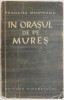 In orasul de pe Mures - Francisc Munteanu, Roman Beletristica