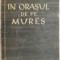 In orasul de pe Mures &ndash; Francisc Munteanu