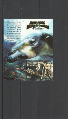 PERU 2010 ANIMALE PREISTORICE DINOZAURI FOSILE foto