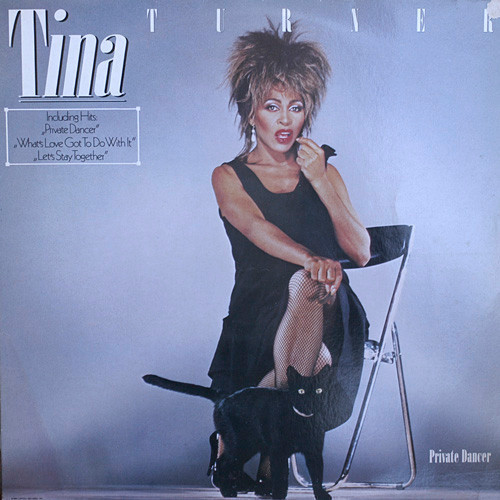 Vinil LP Tina Turner &ndash; Private Dancer (VG)