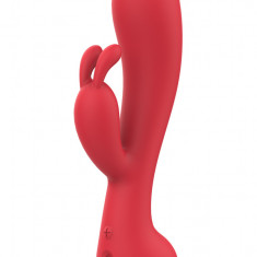 Vibrator Iepuras Amour Camille, 10 Moduri Vibratii, Silicon, USB, Rosu, 22 cm