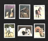 cuba cai mnh