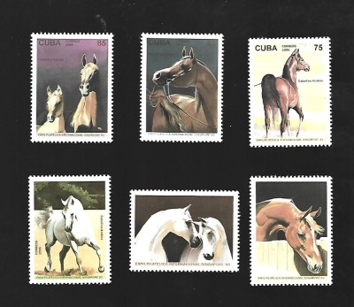 cuba cai mnh foto