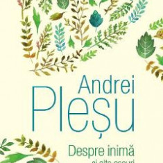 Despre inima si alte eseuri - Andrei Plesu