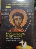 Silvan Theodoresu - Sfantul Mucenic Ioan Valahul sau Curatienia Marturisitoare