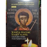 Silvan Theodoresu - Sfantul Mucenic Ioan Valahul sau Curatienia Marturisitoare