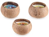 Cumpara ieftin Set 3 lumanari parfumate &Oslash; 10,5 cm x 7,5 H