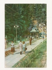 RF8 -Carte Postala- Slanic-Moldova, La izvoare, circulata 1962