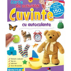 Cuvinte. Carte de activităţi cu autocolante - Paperback brosat - *** - Litera mică