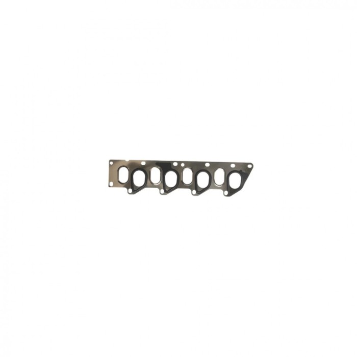 Garnitura galerie evacuare RENAULT SC&iuml;&iquest;&frac12;NIC I (JA0/1_) 1.9 dCi (JA05 JA1F) 1999-2003 CORTECO 025001P