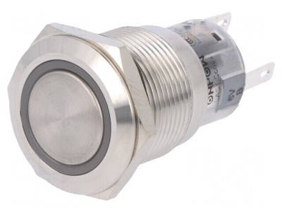 Comutator Anti-Vandalism 2 Poz SPDT 0.5A 220VAC 1A 24VDC foto
