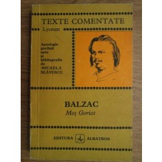 Micaela Slavescu - Balzac. Mos Goriot
