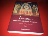 PR. ENE BRANISTE, LITURGHIA- SUFLETUL ETERN AL ORTODOXIEI IN RUGACIUNE. STUDII-1