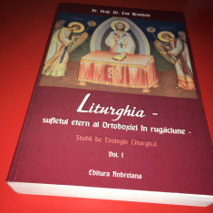 PR. ENE BRANISTE, LITURGHIA- SUFLETUL ETERN AL ORTODOXIEI IN RUGACIUNE. STUDII-1