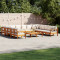 vidaXL Set de canapele de grădină cu perne 10 piese lemn masiv acacia
