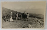 DOI TURISTI VORBIND CU DOI CIOBANI PE O CULME DE MUNTE , FOTOGRAFIE FORMAT CARTE POSTALA , PERIOADA INTERBELICA