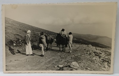 DOI TURISTI VORBIND CU DOI CIOBANI PE O CULME DE MUNTE , FOTOGRAFIE FORMAT CARTE POSTALA , PERIOADA INTERBELICA foto