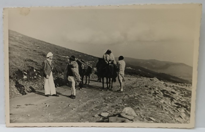 DOI TURISTI VORBIND CU DOI CIOBANI PE O CULME DE MUNTE , FOTOGRAFIE FORMAT CARTE POSTALA , PERIOADA INTERBELICA
