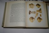 Istoria universala - E. M. Jukov - Vol. I, II si III - 1959-1960