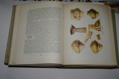 Istoria universala - E. M. Jukov - Vol. I, II si III - 1959-1960