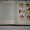 Istoria universala - E. M. Jukov - Vol. I, II si III - 1959-1960