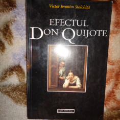 Efectul Don Quijote - Victor Ieronim Stoichita