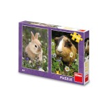 Cumpara ieftin Puzzle Iepurasul si Porcusorul de Guinea, 2x48 piese - DINO TOYS