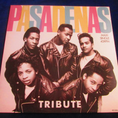 The Pasadenas - Tribute _ 12" maxi single _ CBS ( 1988, Europa )
