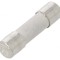 Siguranță &icirc;nt&acirc;rziere 250mA 250VAC 5x20mm