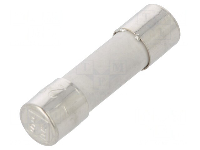 Siguranță &icirc;nt&acirc;rziere 250mA 250VAC 5x20mm