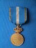MEDALIA SERVICIU CREDINCIOSU 1878 CLASA I