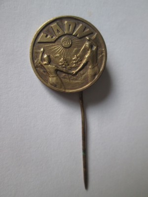 Rara! Insigna colectie Romania:EAON 1959 foto