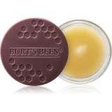 Burt&rsquo;s Bees Lip Treatment tratament de noapte intensiv de buze 7.08 g