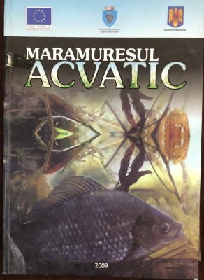 Maramuresul acvatic foto