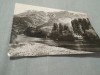 CARTE POSTALA MUNTII APUSENI PE VALEA ARIESULUI CIRCULATA