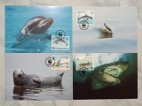 Guernsey 1990 - fauna marina, serie CarteMaxima