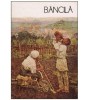 Ruxandra Dreptu - Bancila - 126711