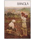 Cumpara ieftin Ruxandra Dreptu - Bancila - 126711