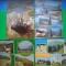 HOPCT LOT 3164 --4 CARTI POSTALE-VALEA PRAHOVEI -JUD PRAHOVA-CIRCULATE