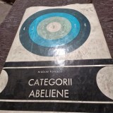 CATEGORII ABELIENE - NICOLAE POPESCU