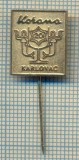 Y 385 INSIGNA- KORONA -KARLOVAC- CROATIA -IUGOSLAVIA -PENTRU COLECTIONARI