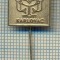 Y 385 INSIGNA- KORONA -KARLOVAC- CROATIA -IUGOSLAVIA -PENTRU COLECTIONARI