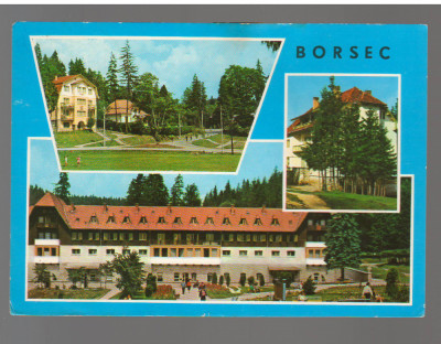 CPIB 17221 CARTE POSTALA - BORSEC, TOPLITA, MOZAIC foto