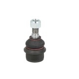 Pivot dreapta Iveco Iveco daily s2000