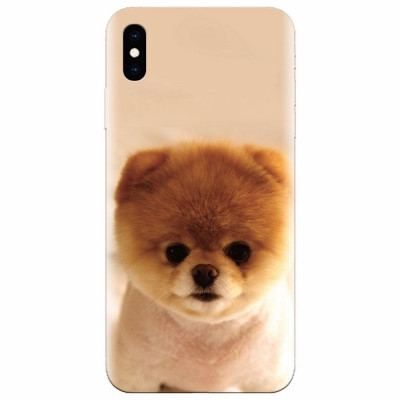 Husa silicon pentru Apple Iphone X, Cutest Puppy Dog foto