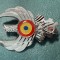 Insigna Subinginer Cl 1 aviatie militara 1992 2000