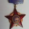QW9 L 45 - Insigna - tematica comunism - Fruntas in intrecerea socialista - 1970