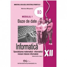 Manual informatica clasa 12 M1 - Mariana Milosescu