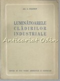 Cumpara ieftin Luminatoarele Cladirilor Industriale - Z. Solomon - Tiraj: 1090 Exemplare