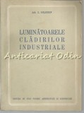 Luminatoarele Cladirilor Industriale - Z. Solomon - Tiraj: 1090 Exemplare